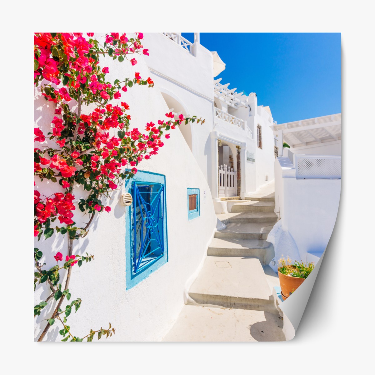 Repositionierbarer Aufkleber Santorini weiße gasse mit bougainvillea – Wallnifity®