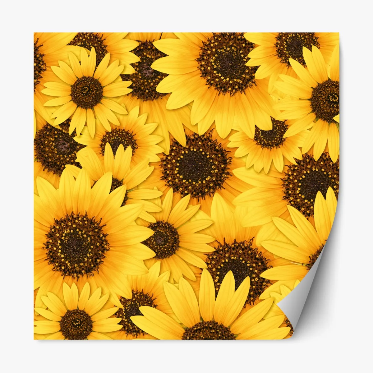 Repositionierbarer Aufkleber goldene sonnenblumen – Wallnifity®