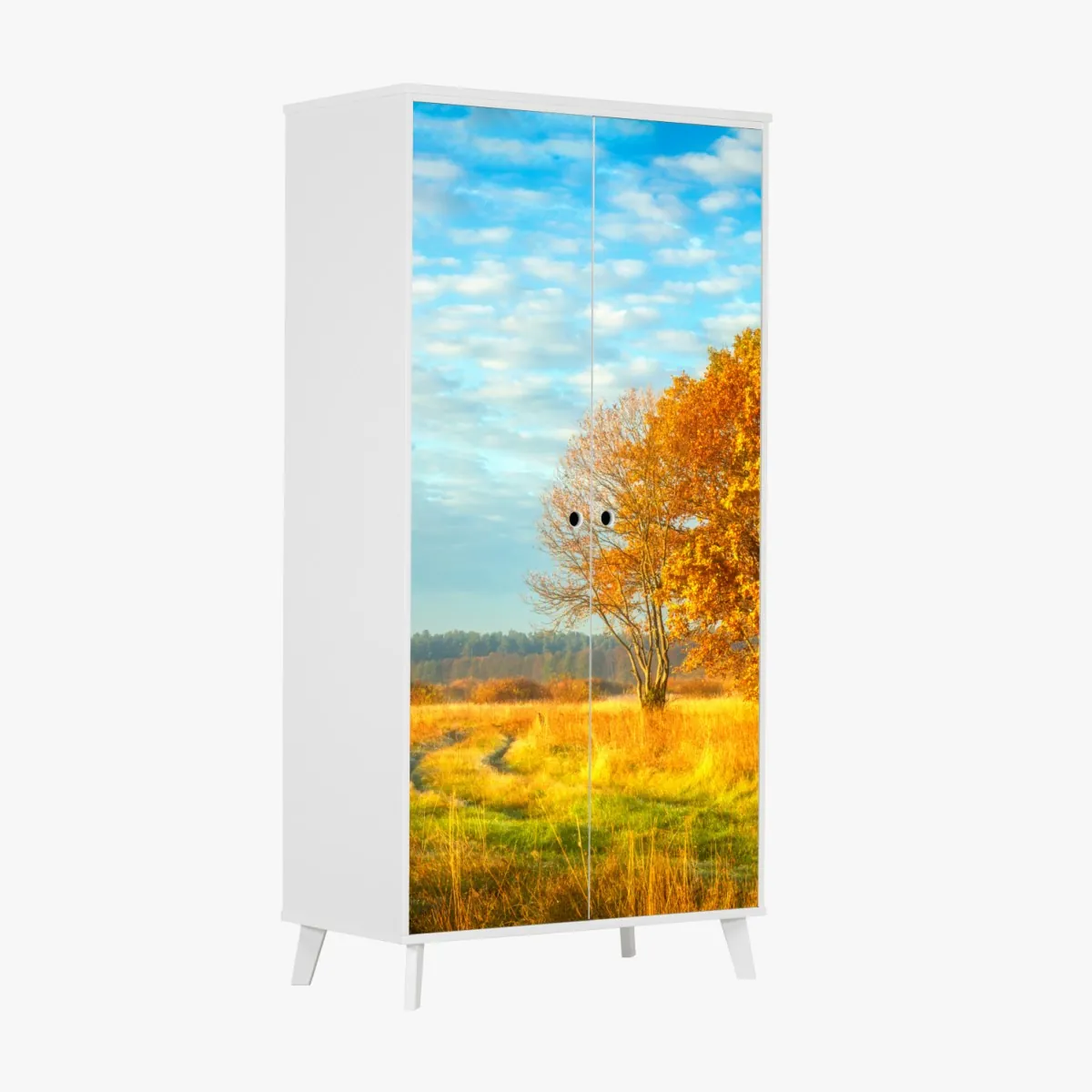 Schrankaufkleber goldene herbstwiese – Wallnifity®