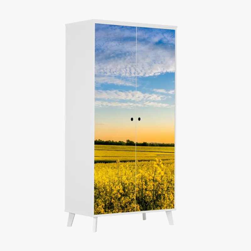 Schrankaufkleber pfingstrosenwiese im frühling — impasto blumenbild – Wallnifity®