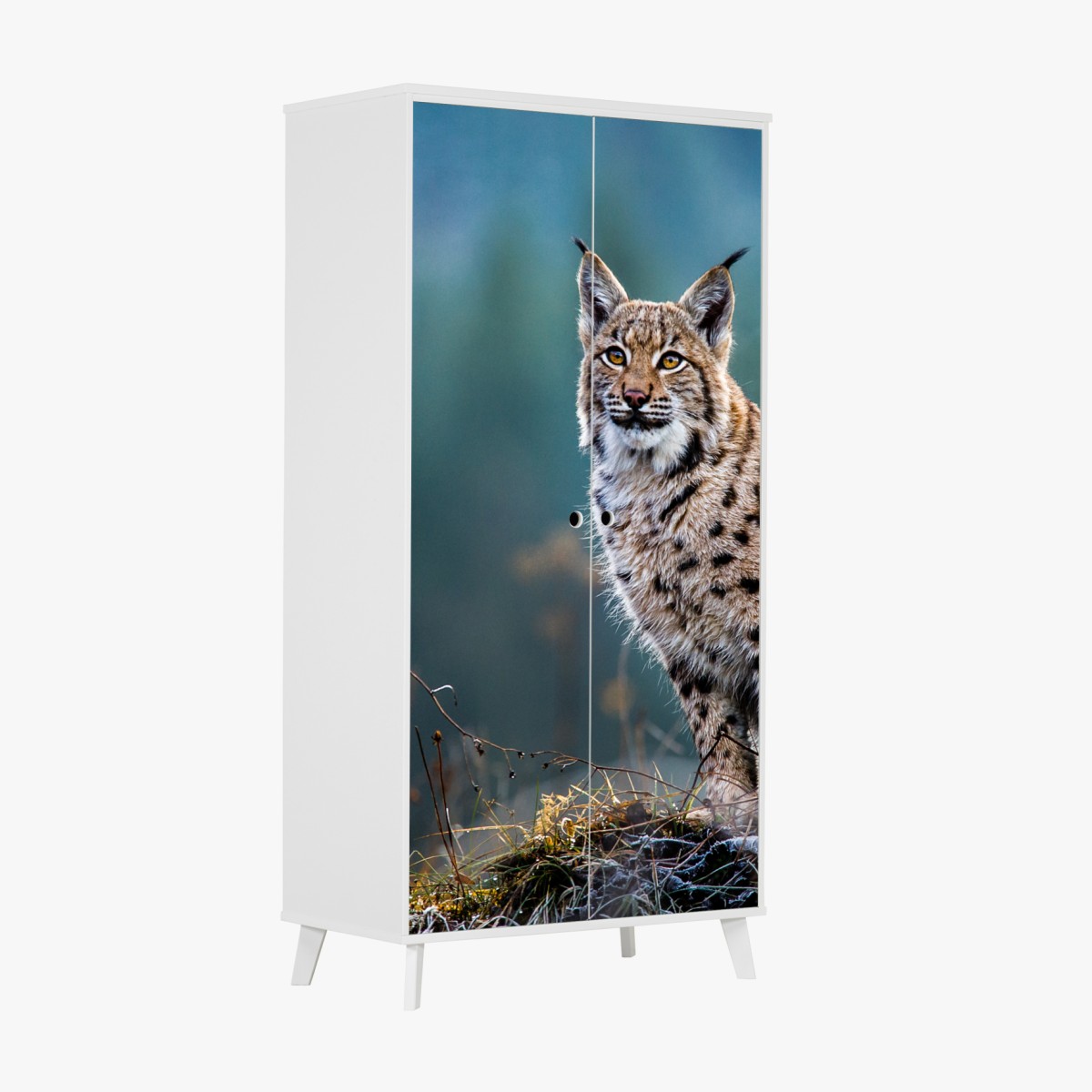 Schrankaufkleber majestätischer luchs in natürlichem habitat – Wallnifity®