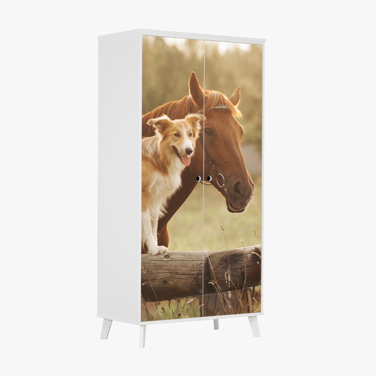 Schrankaufkleber sonnige gefährten: hund und pferd – Wallnifity®