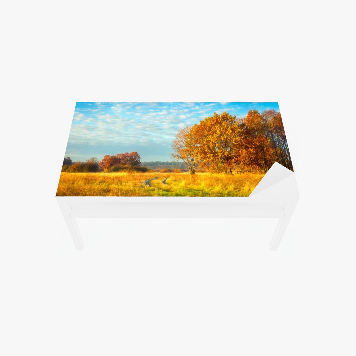 Tischaufkleber und Schreibtischaufkleber goldene herbstwiese – Wallnifity®