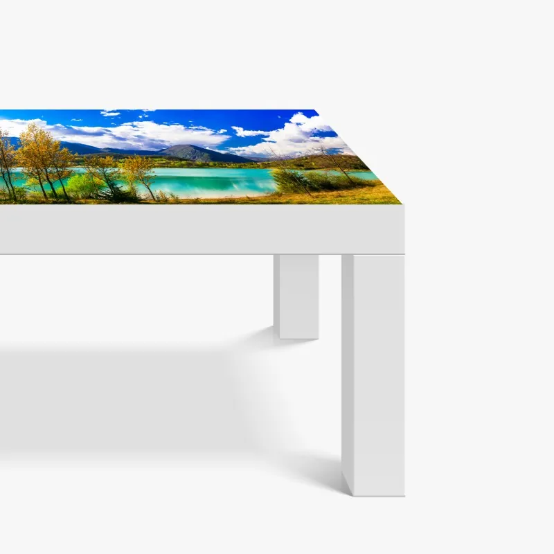Tischaufkleber und Schreibtischaufkleber vintage delfine ozeanillustration – Wallnifity®