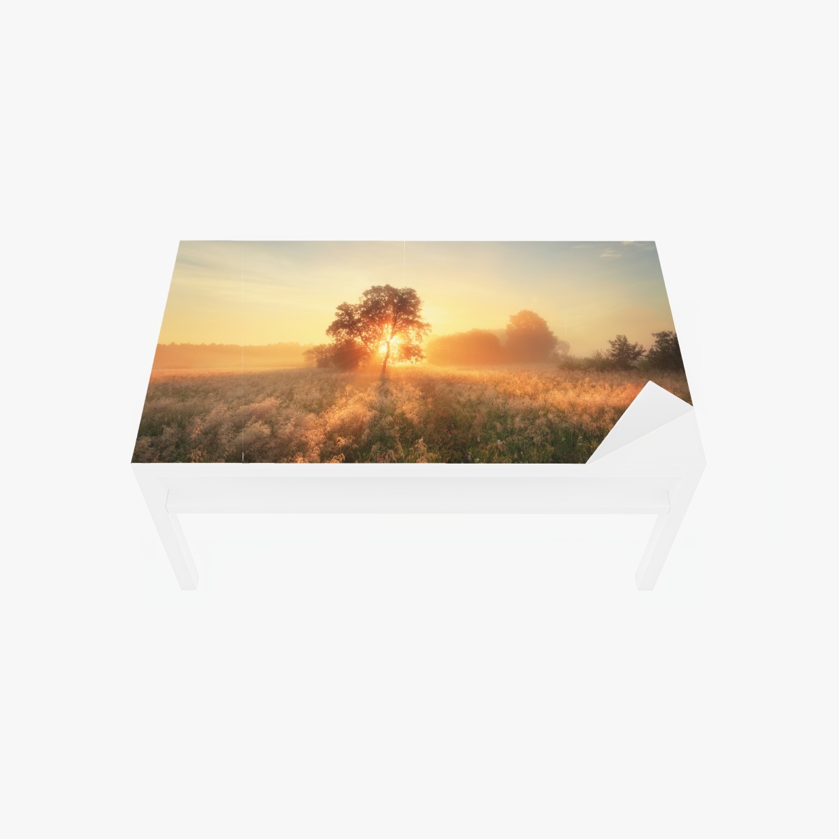 Tischaufkleber und Schreibtischaufkleber goldener sonnenaufgang über nebliger wiese – Wallnifity®