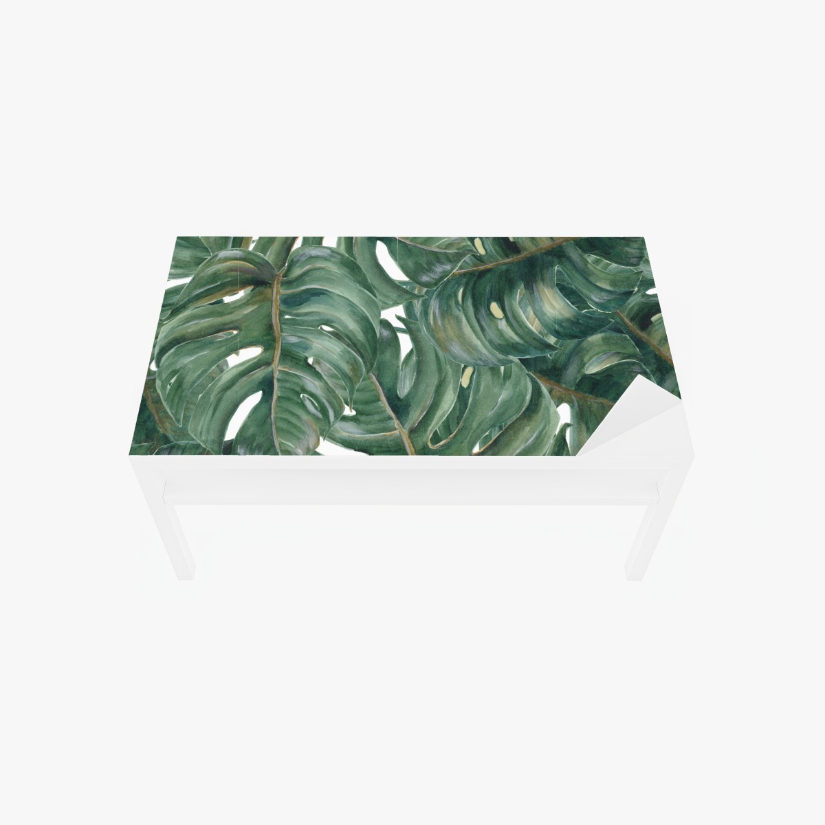 Tischaufkleber und Schreibtischaufkleber monstera blätter in aquarell – Wallnifity®