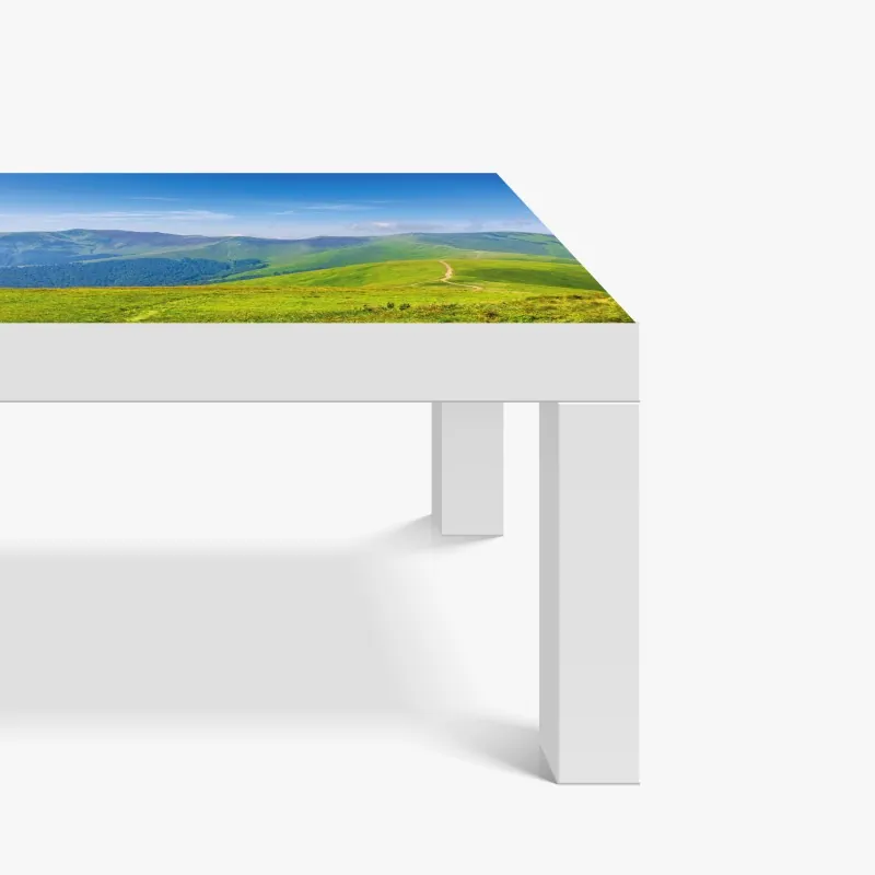Tischaufkleber und Schreibtischaufkleber strahlende sonnenblume nahaufnahme – Wallnifity®