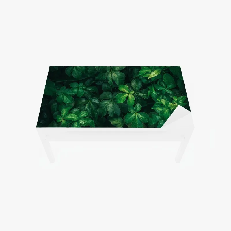 Tischaufkleber und Schreibtischaufkleber aquarell monstera blättermuster – Wallnifity®