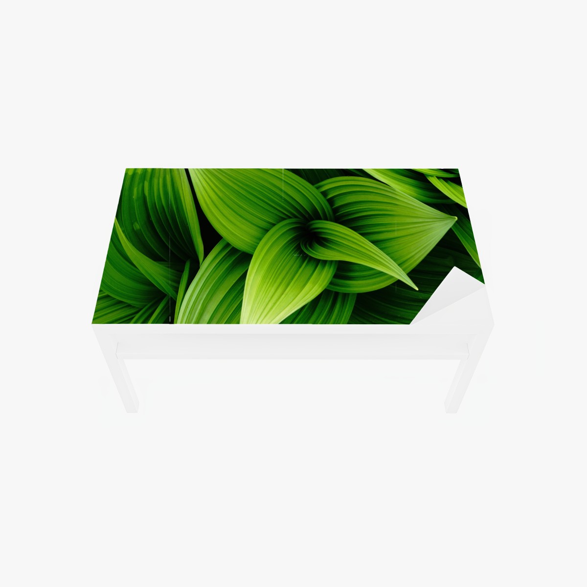 Tischaufkleber und Schreibtischaufkleber üppige grüne blätter – Wallnifity®