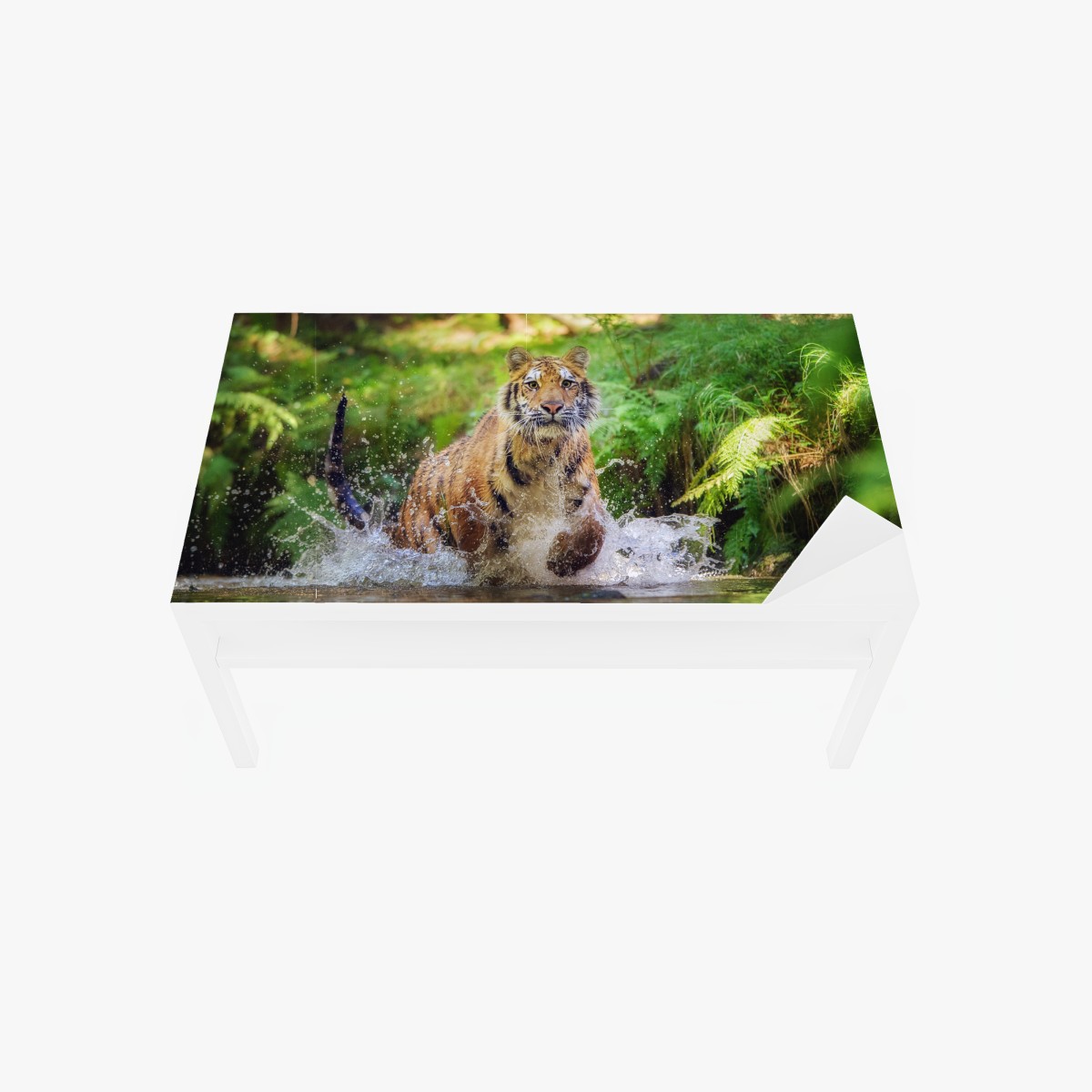 Tischaufkleber und Schreibtischaufkleber majestätischer tiger im waldbach – Wallnifity®