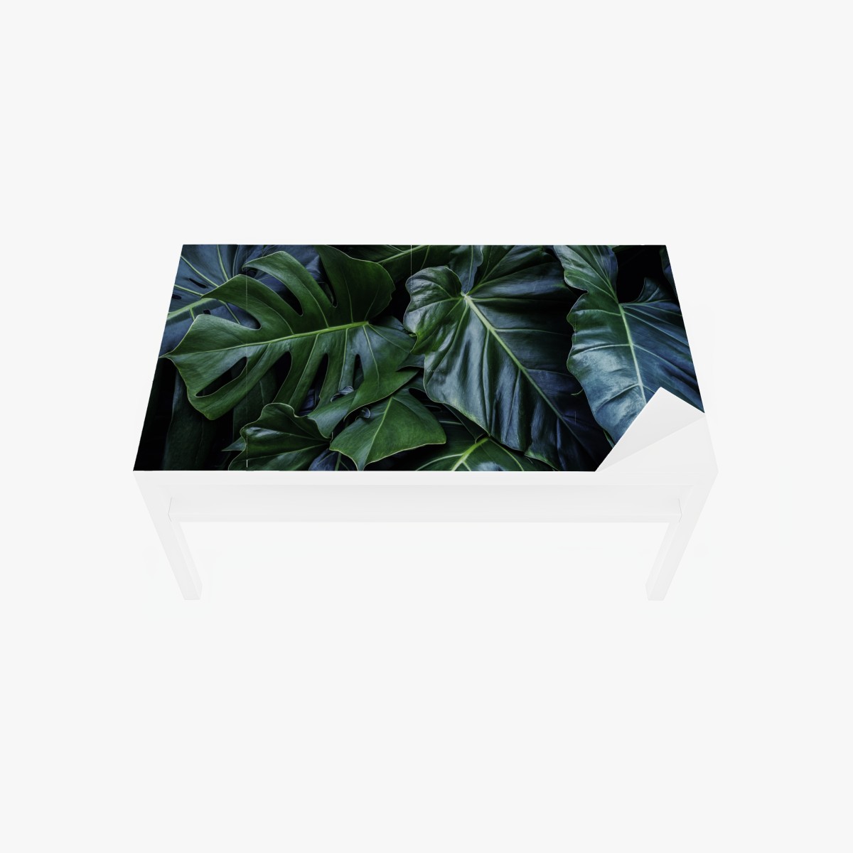 Tischaufkleber und Schreibtischaufkleber üppige tropische monstera-blätter – Wallnifity®