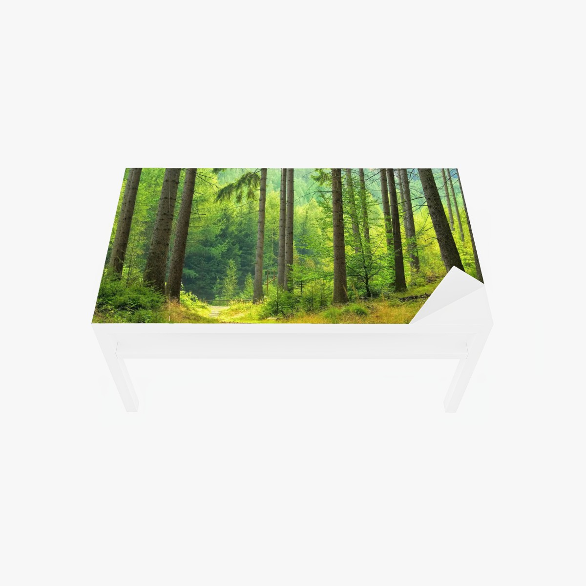 Tischaufkleber und Schreibtischaufkleber sonniger waldweg – Wallnifity®