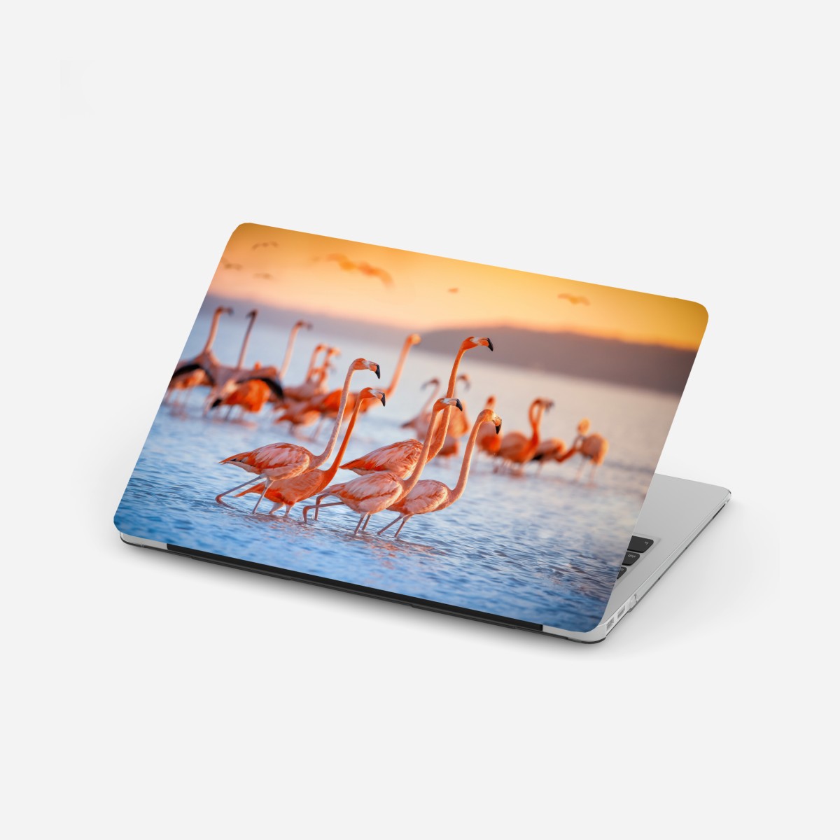 Laptop-Aufkleber rosa flamingos bei sonnenuntergang – Wallnifity®