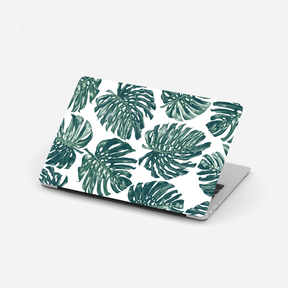Laptop-Aufkleber monstera blatt botanisches muster – Wallnifity®