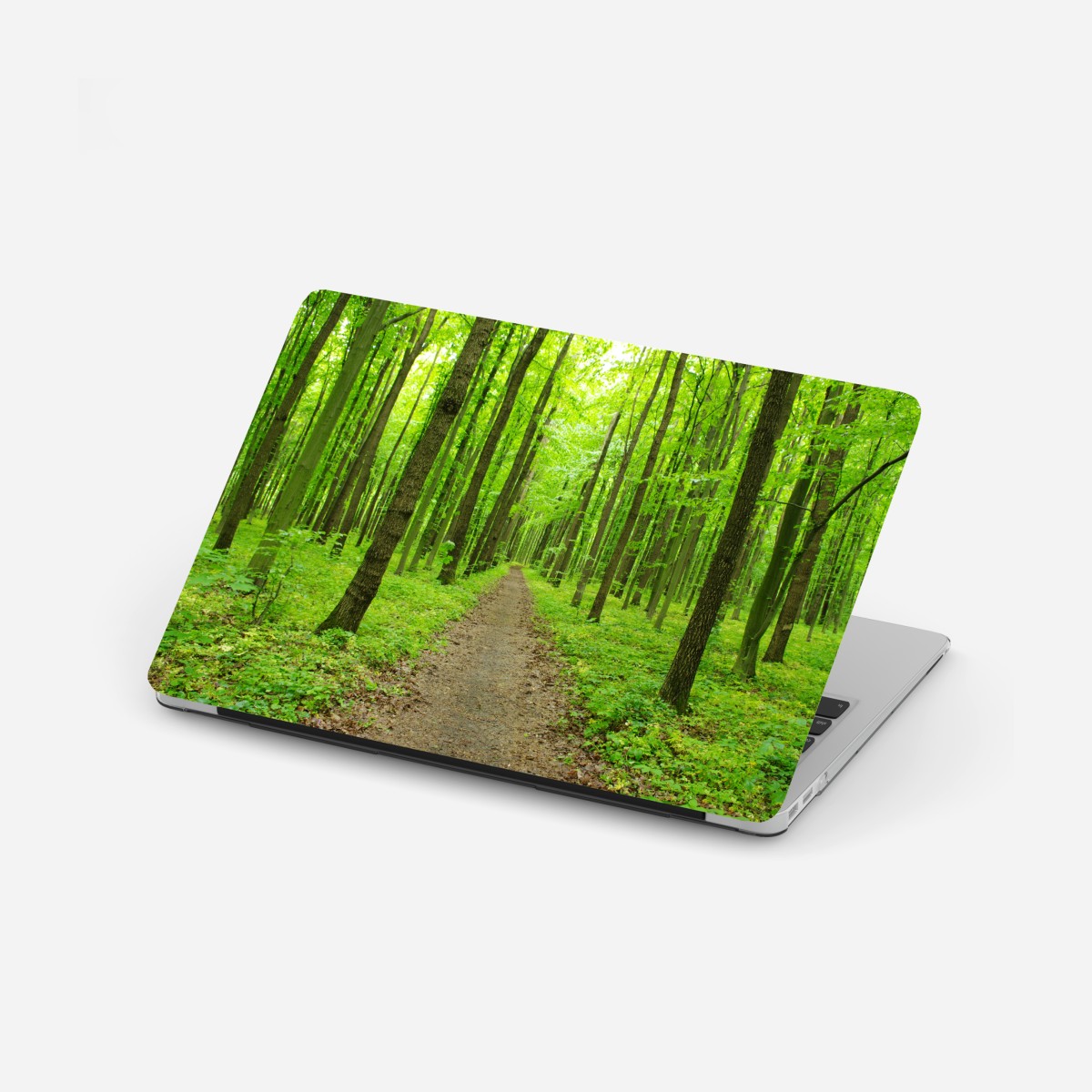 Laptop-Aufkleber ruhiger grüner waldweg – Wallnifity®