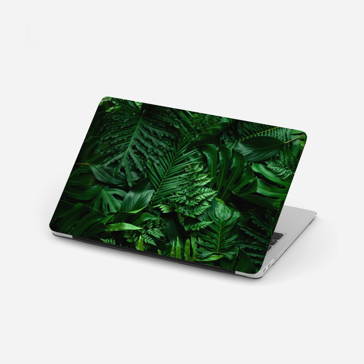 Laptop-Aufkleber üppige tropische blätter – Wallnifity®