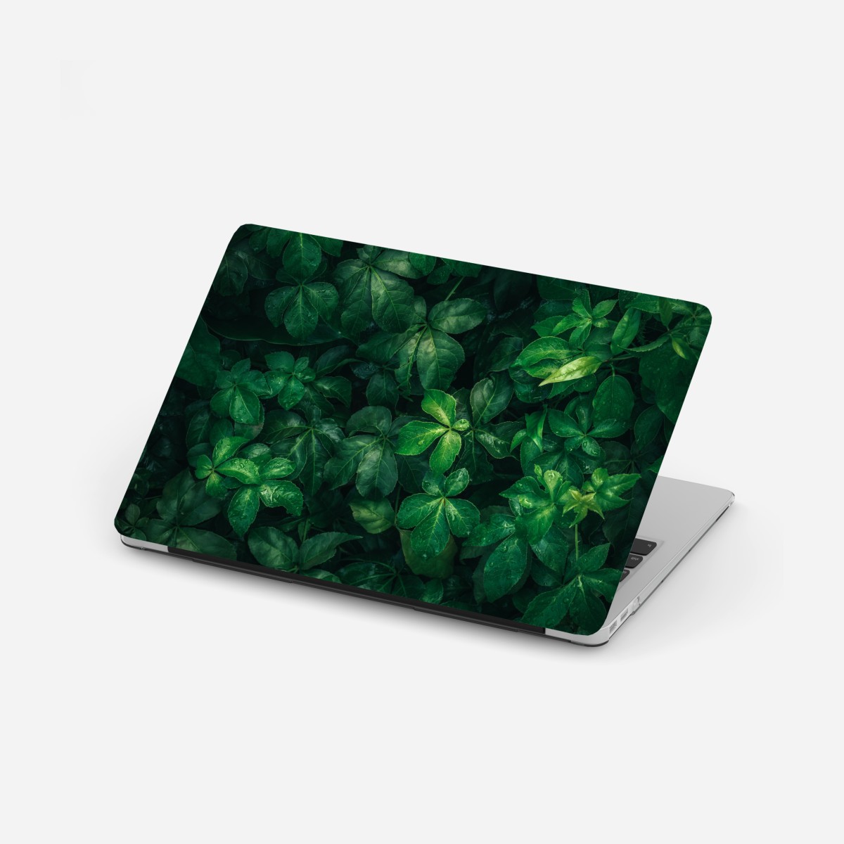 Laptop-Aufkleber üppiges tropisches grünes laub – Wallnifity®