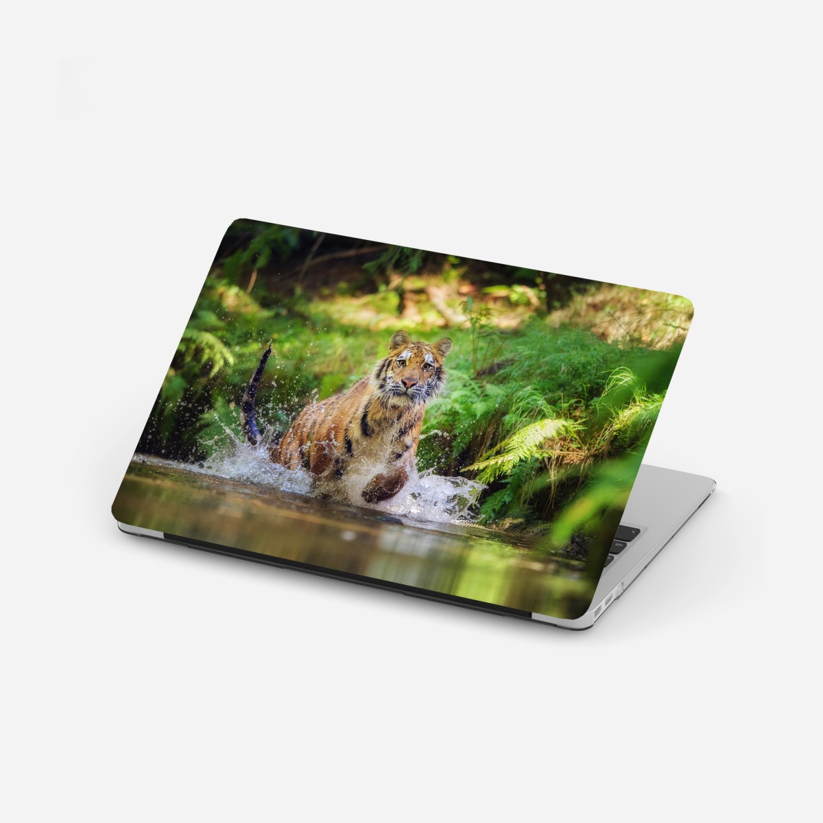 Laptop-Aufkleber majestätischer tiger im waldbach – Wallnifity®