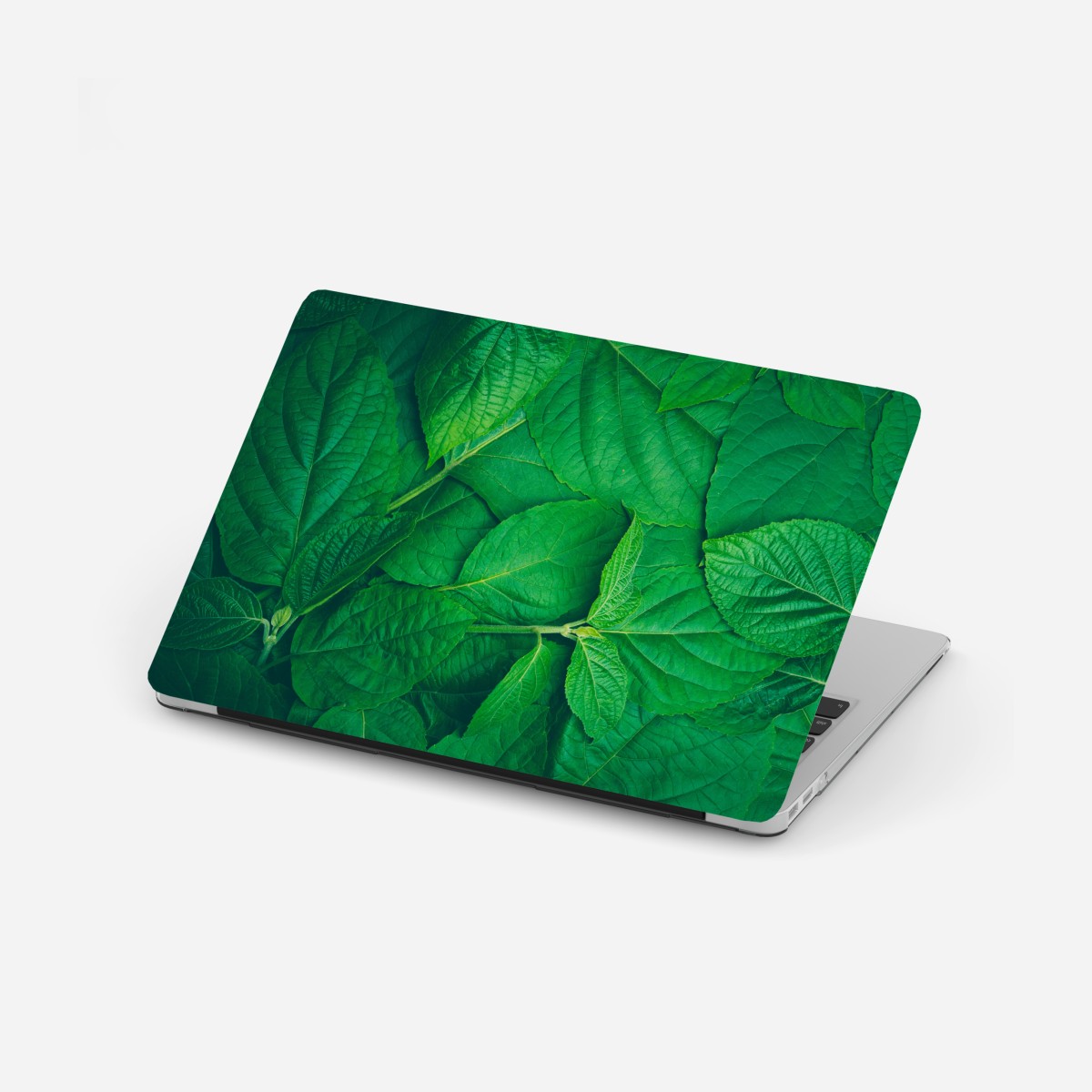 Laptop-Aufkleber saftige grüne blätter – Wallnifity®