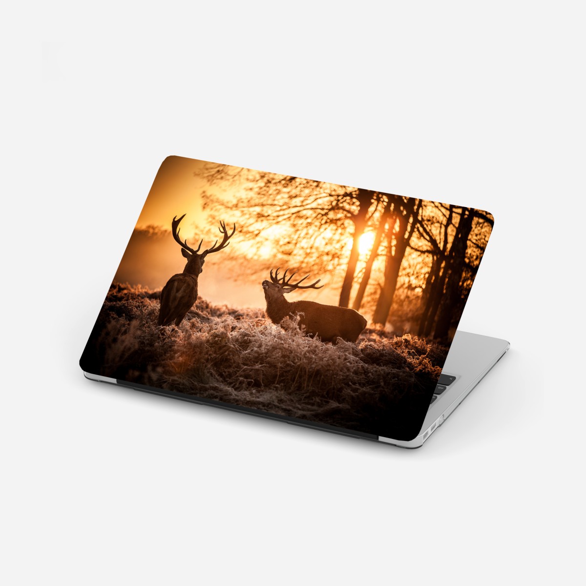 Laptop-Aufkleber goldener sonnenaufgang mit hirschen auf frostiger wiese – Wallnifity®