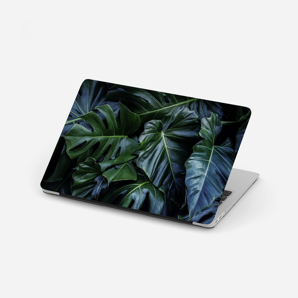 Laptop-Aufkleber üppige tropische monstera-blätter – Wallnifity®