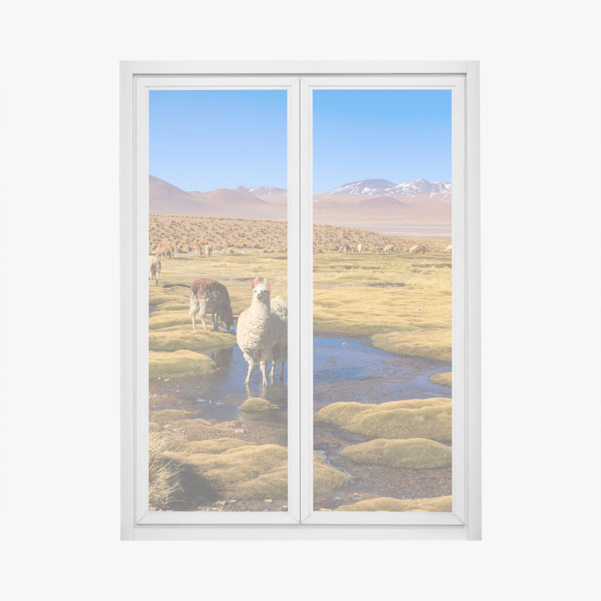 Fensteraufkleber lama auf dem altiplano der Anden – Wallnifity®