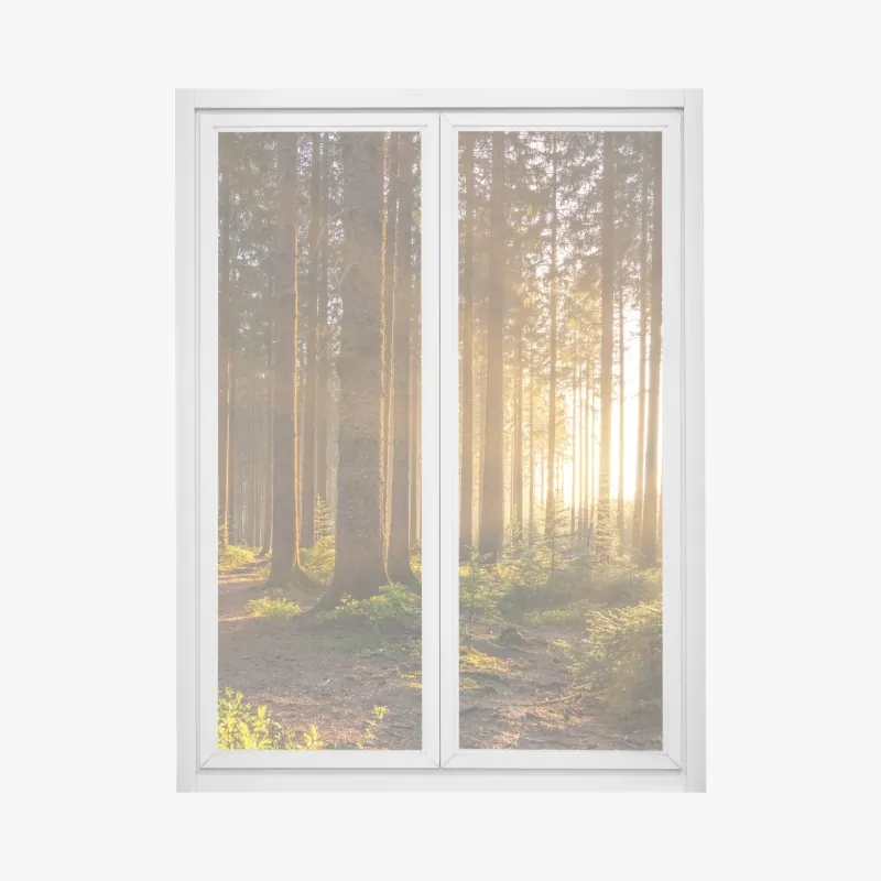 Fensteraufkleber sonnenbeschienener waldweg am morgen