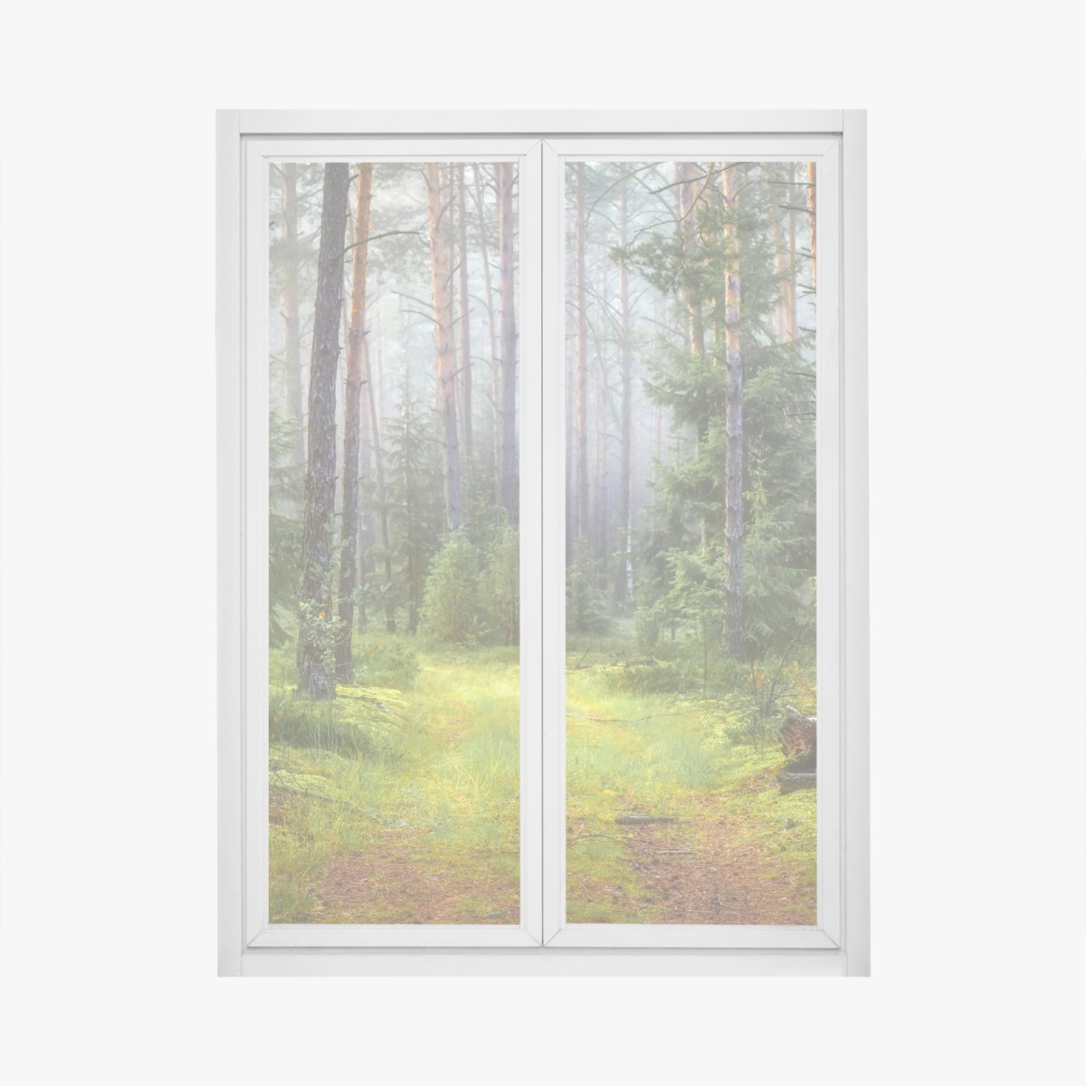 Fensteraufkleber nebliger kiefernwald mit pfad – Wallnifity®