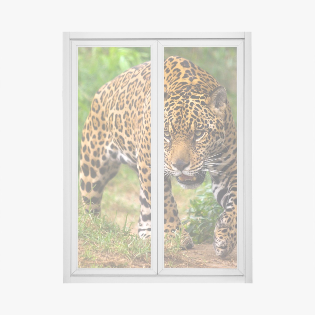 Fensteraufkleber majestätischer jaguar in freier wildbahn – Wallnifity®