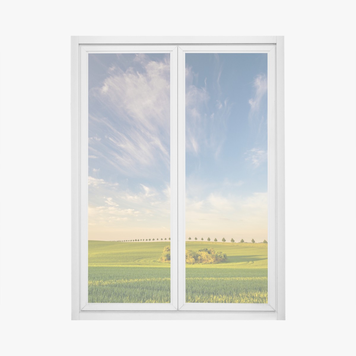 Fensteraufkleber grüne wiese mit einer reihe junger bäume – Wallnifity®
