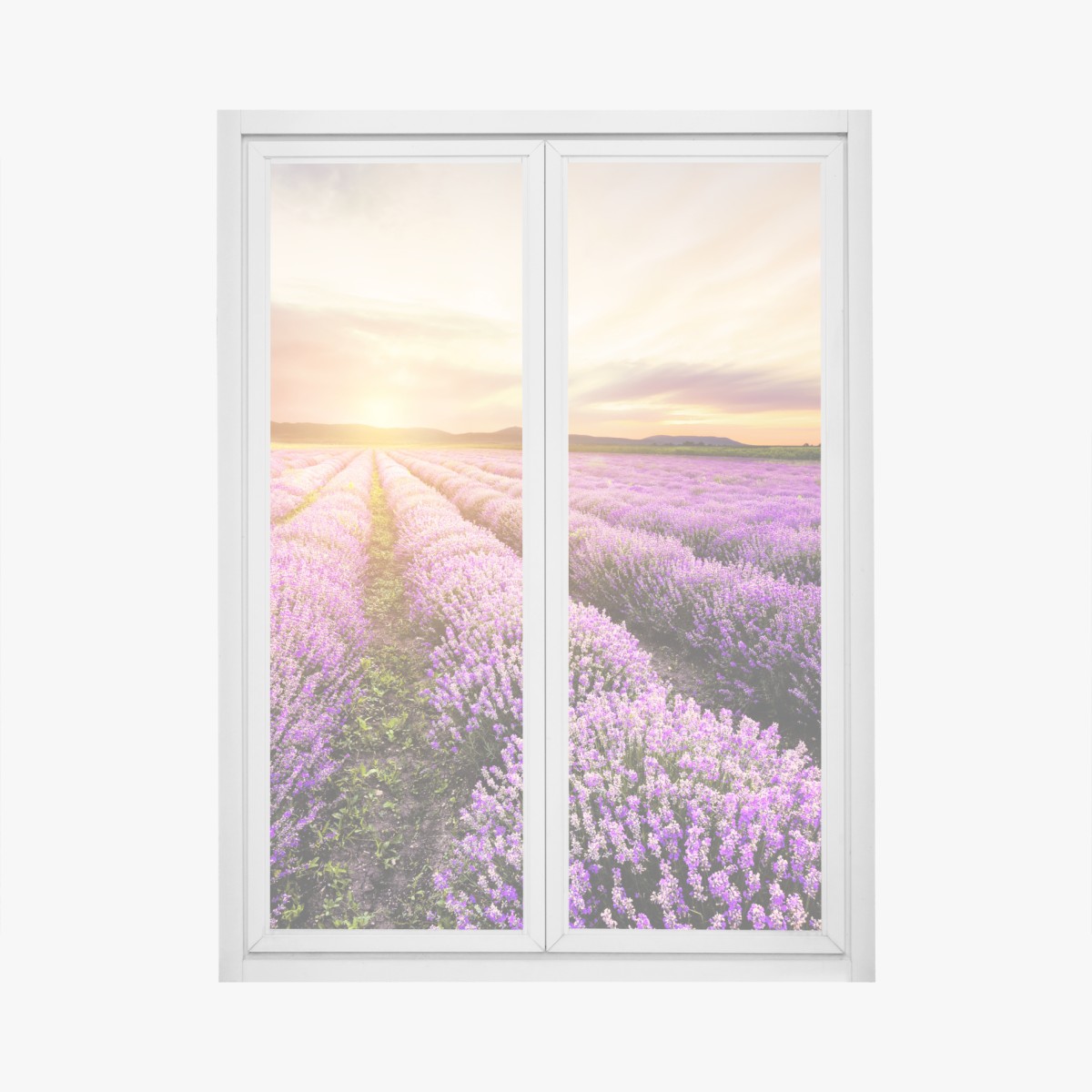 Fensteraufkleber sonnenaufgang über lavendelfeldern – Wallnifity®