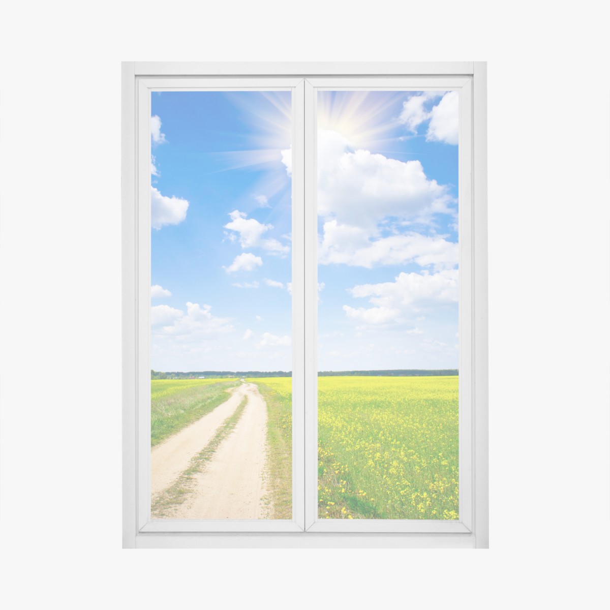 Fensteraufkleber gelbes rapsfeld unter blauem himmel – Wallnifity®