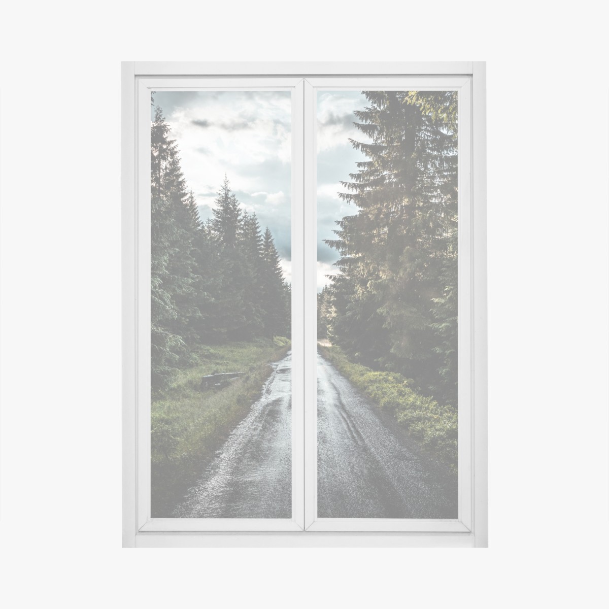 Fensteraufkleber waldweg durch neblige kiefern – Wallnifity®