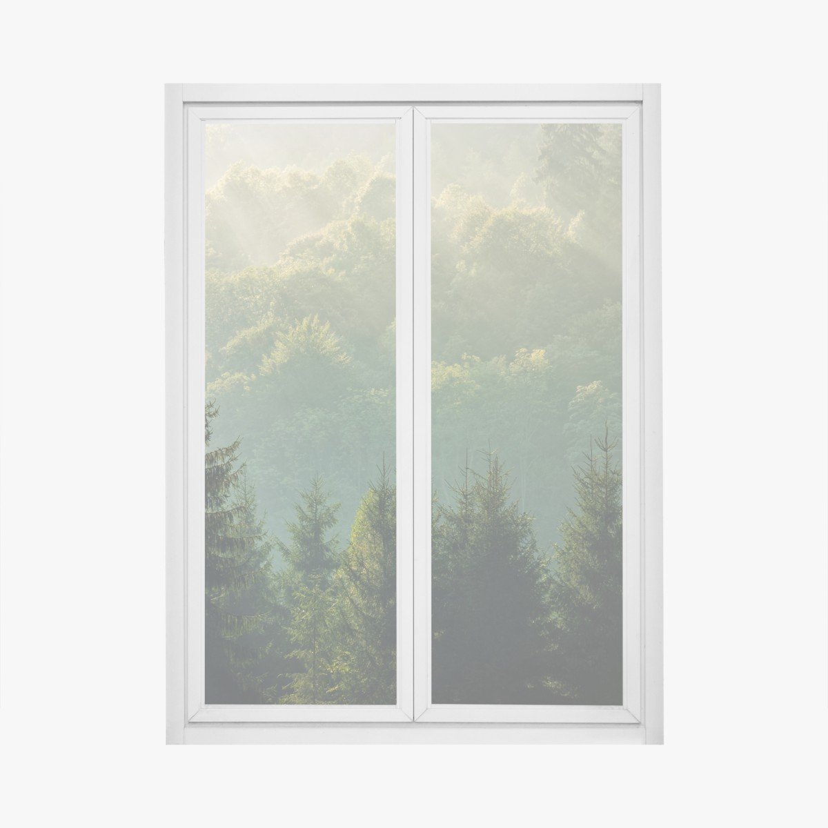 Fensteraufkleber nebeliger fichtenwald in den Karpaten bei sonnenaufgang – Wallnifity®