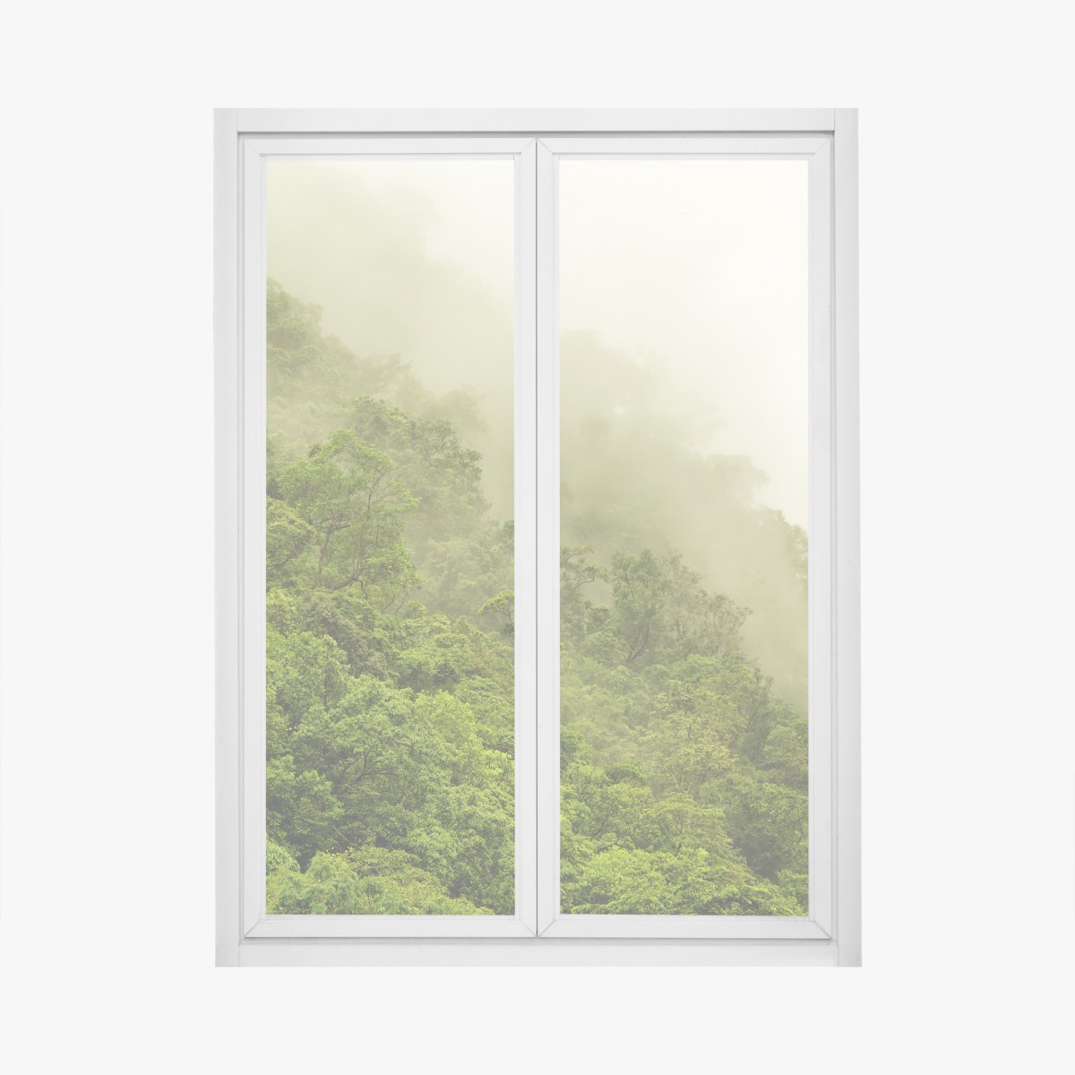 Fensteraufkleber nebeliger regenwald bei Cairns – Wallnifity®
