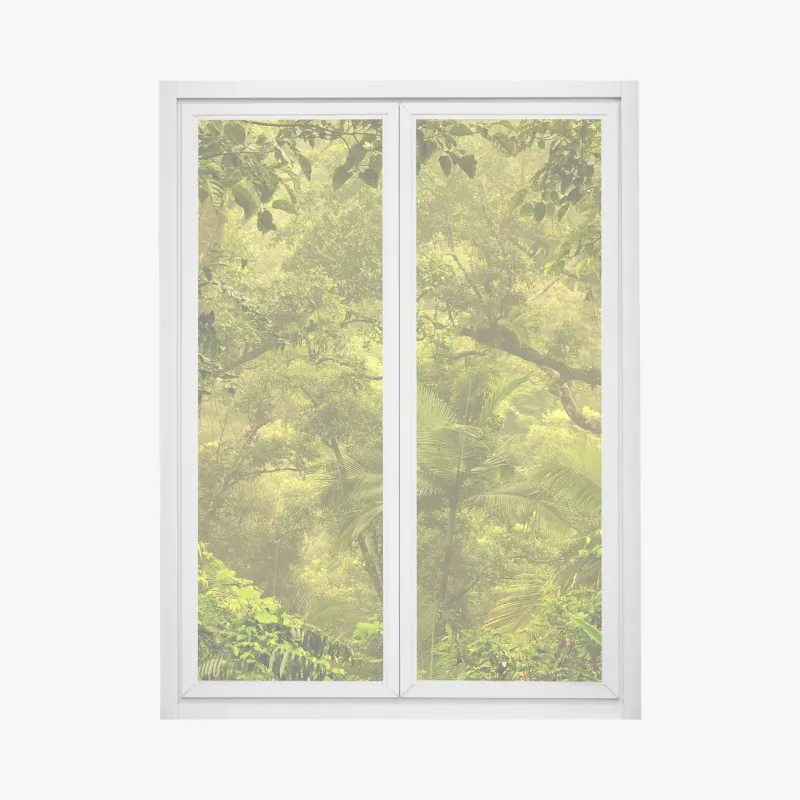 Fensteraufkleber üppiges regenwalddach bei Cairns