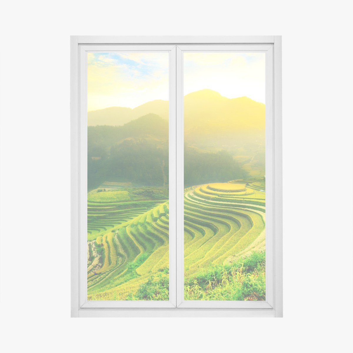 Fensteraufkleber goldene reisterrassen im morgenlicht – Wallnifity®