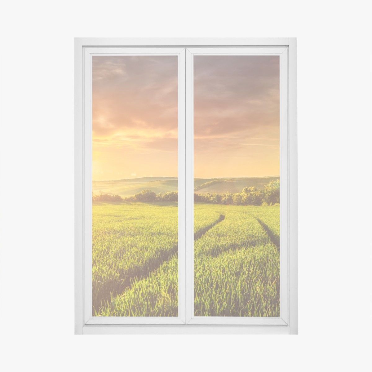 Fensteraufkleber sonnenbeschienene wiese im abendlicht – Wallnifity®