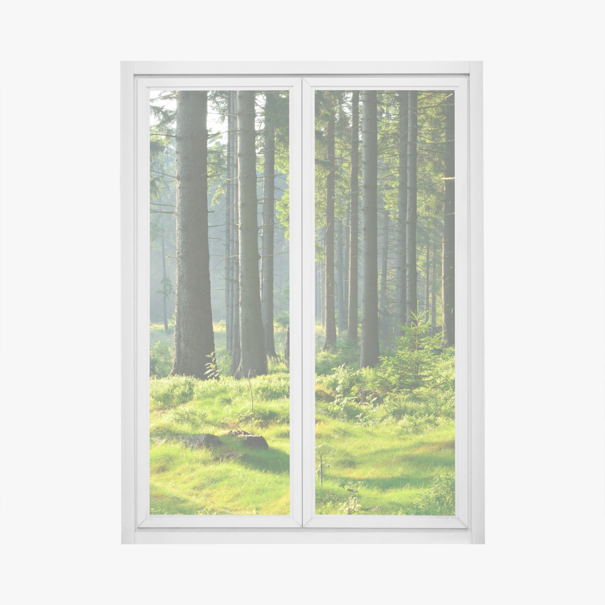 Fensteraufkleber sonnige grüne lichtung im wald – Wallnifity®