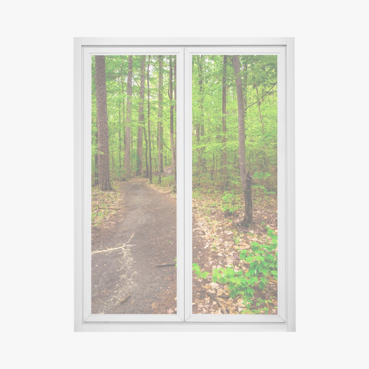 Fensteraufkleber ruhiger grüner waldpfad – Wallnifity®