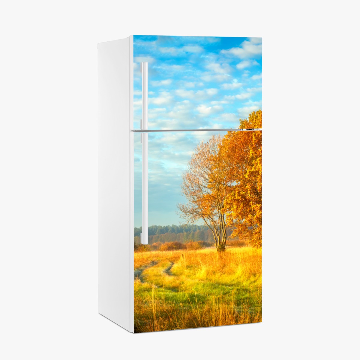 Kühlschrankaufkleber goldene herbstwiese – Wallnifity®