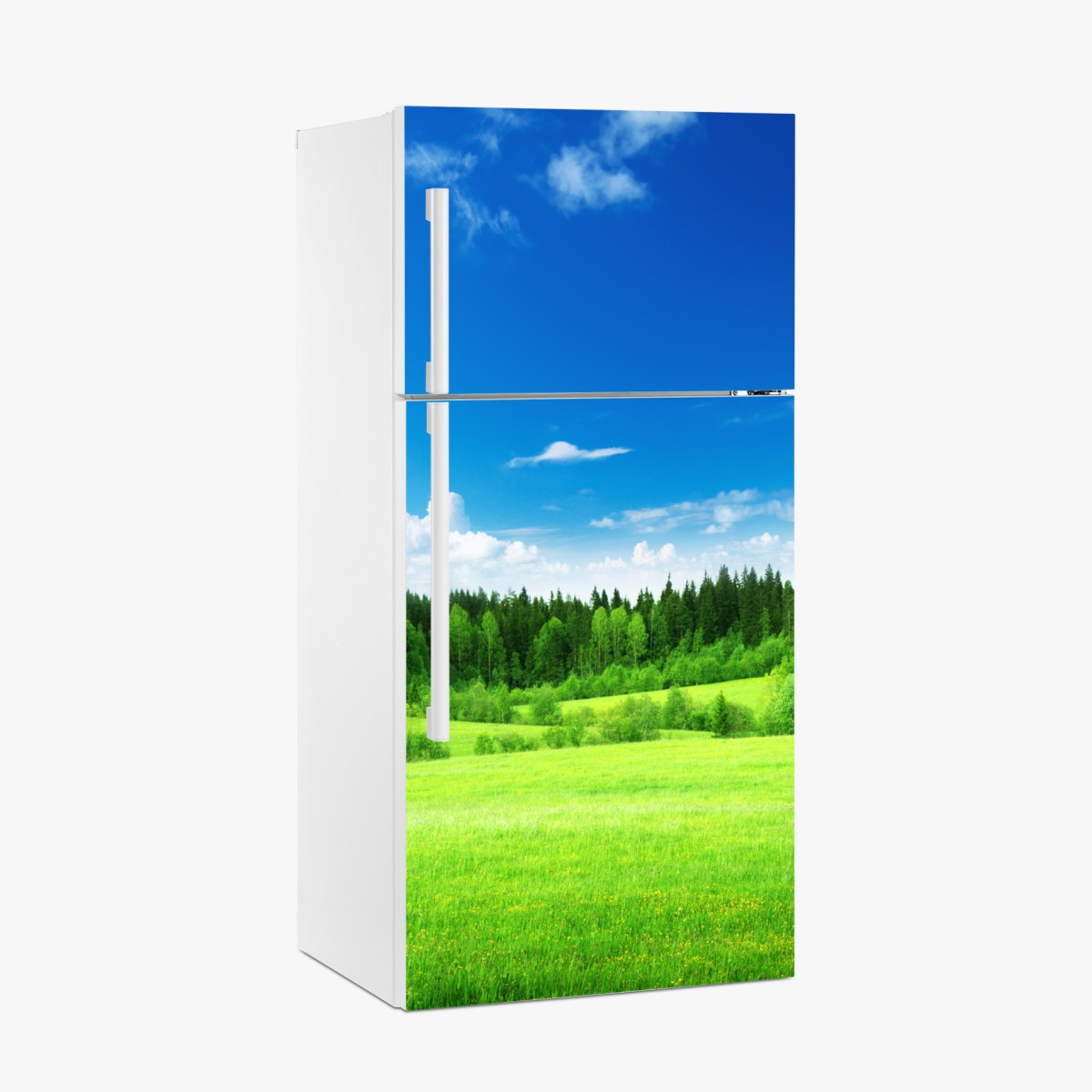 Kühlschrankaufkleber frühlingswiese unter blauem himmel – Wallnifity®