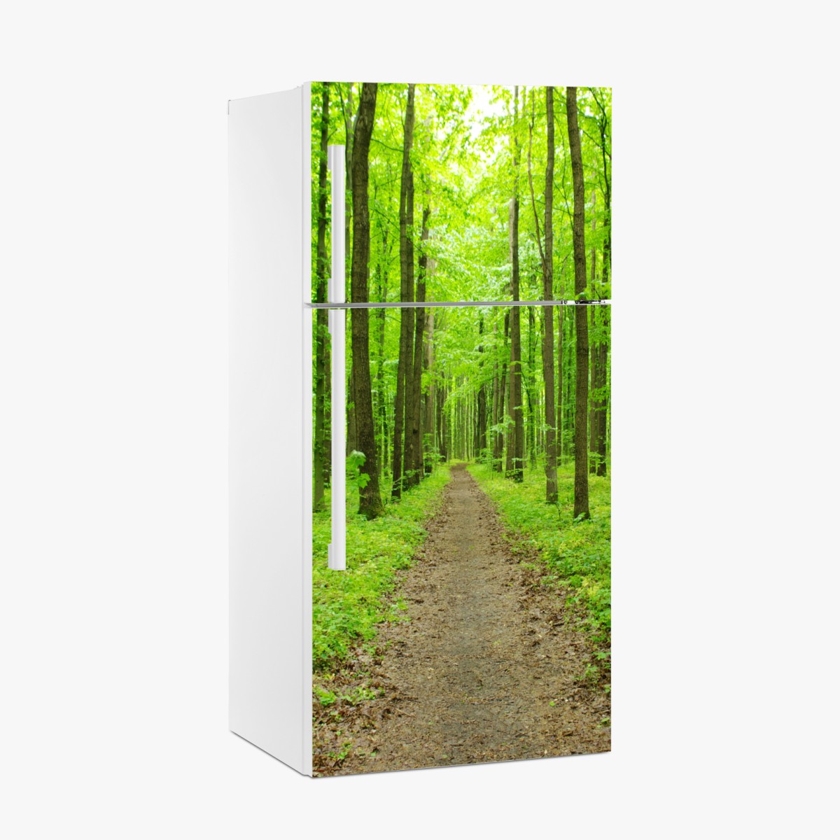 Kühlschrankaufkleber ruhiger grüner waldweg – Wallnifity®