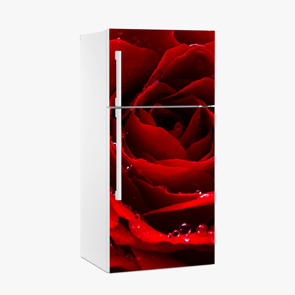 Kühlschrankaufkleber leuchtend rote rose nahaufnahme – Wallnifity®