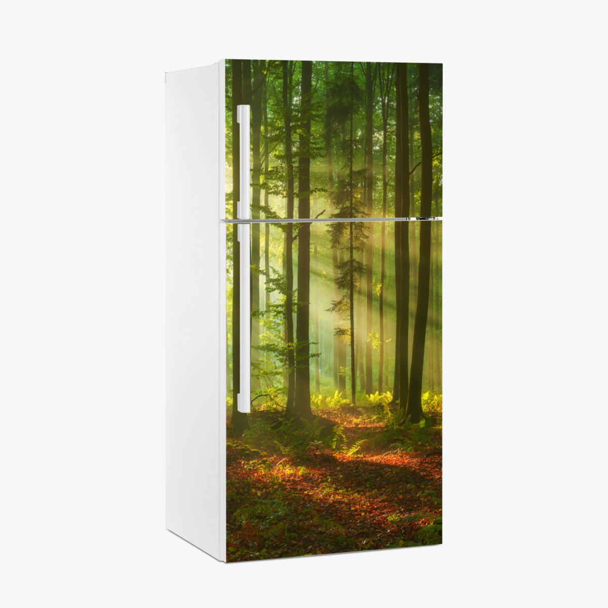 Kühlschrankaufkleber morgendliches licht im grünen wald – Wallnifity®