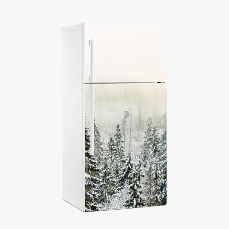 Kühlschrankaufkleber tropische blätter und zitrus illustration – Wallnifity®