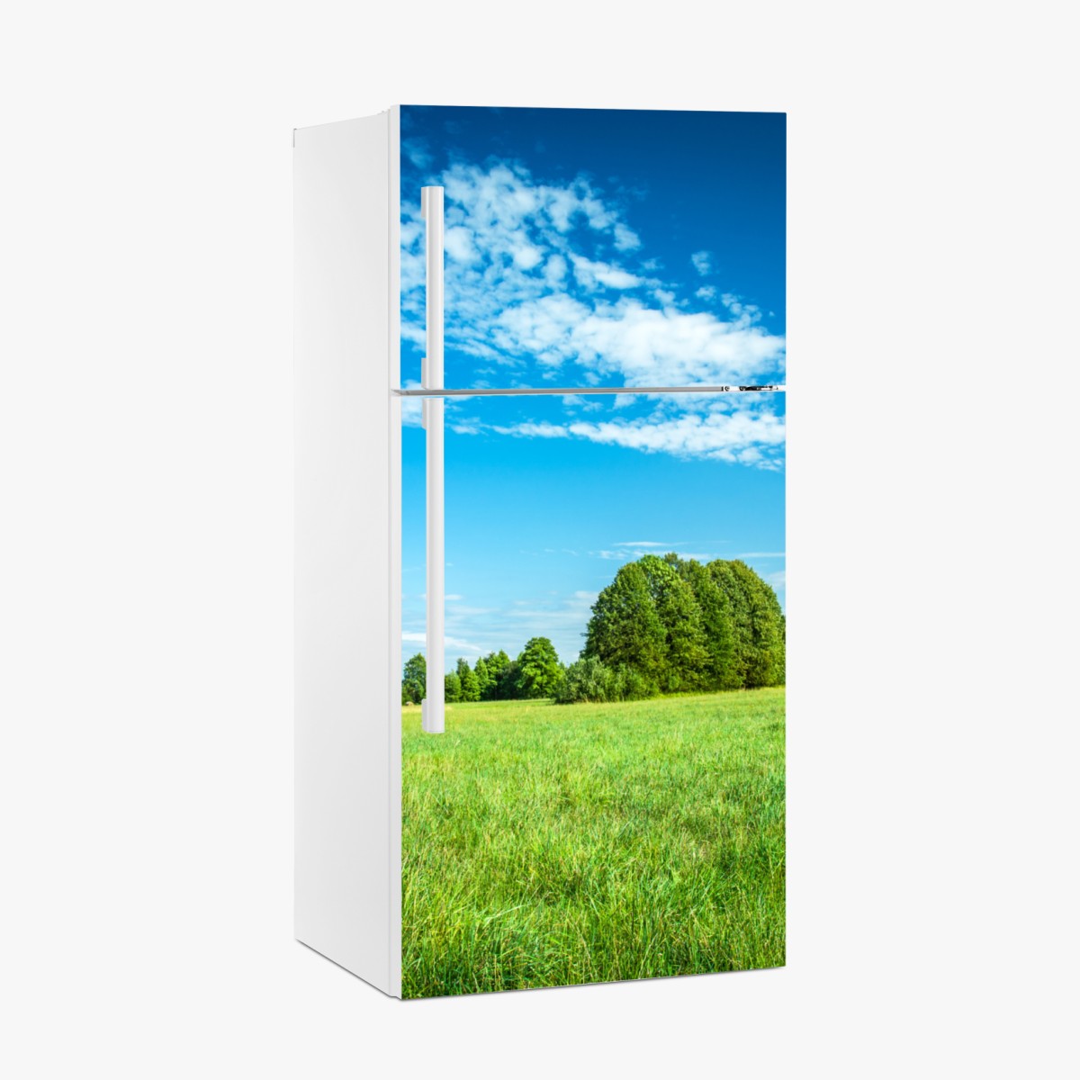 Kühlschrankaufkleber sonnige grüne wiese unter blauem himmel – Wallnifity®