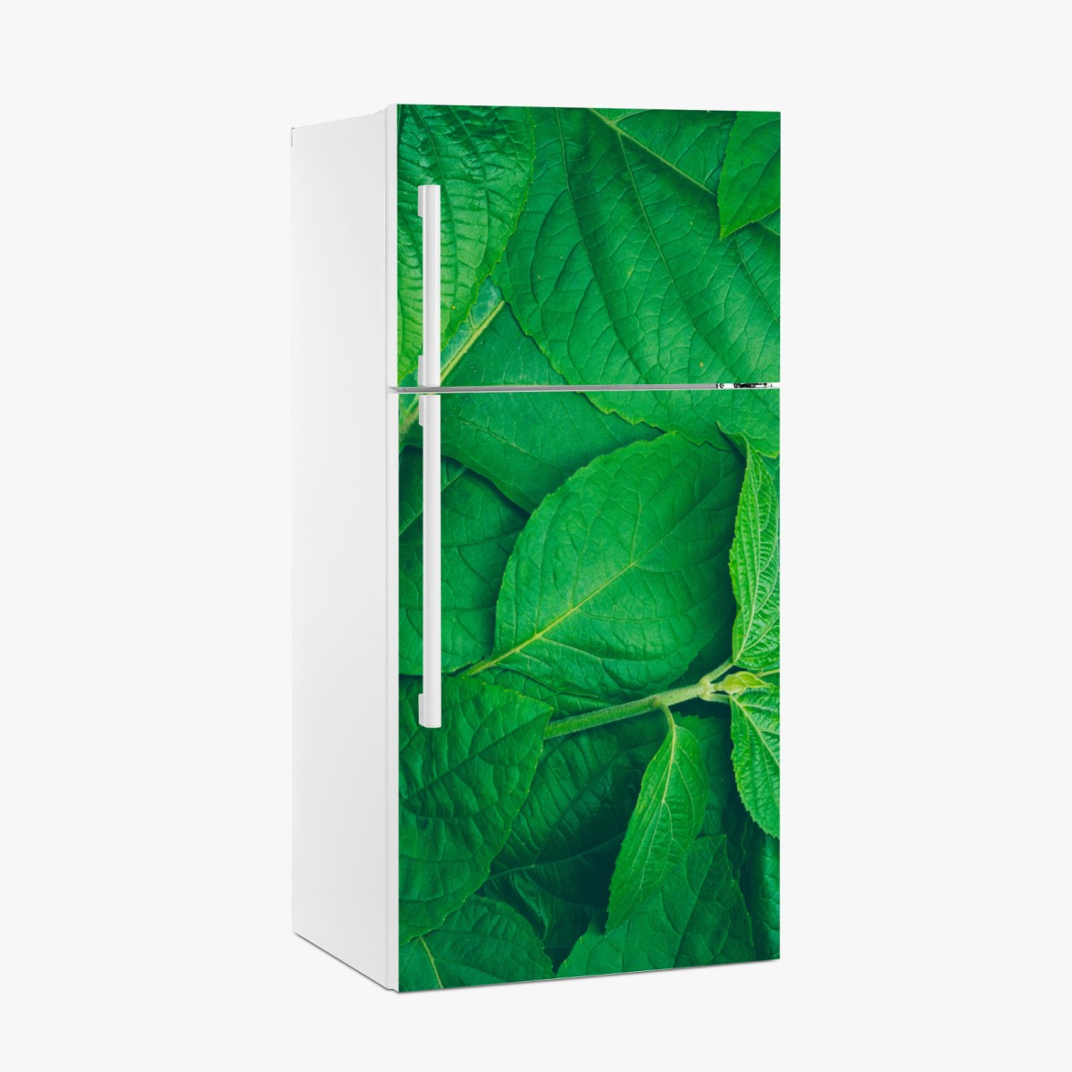 Kühlschrankaufkleber saftige grüne blätter – Wallnifity®