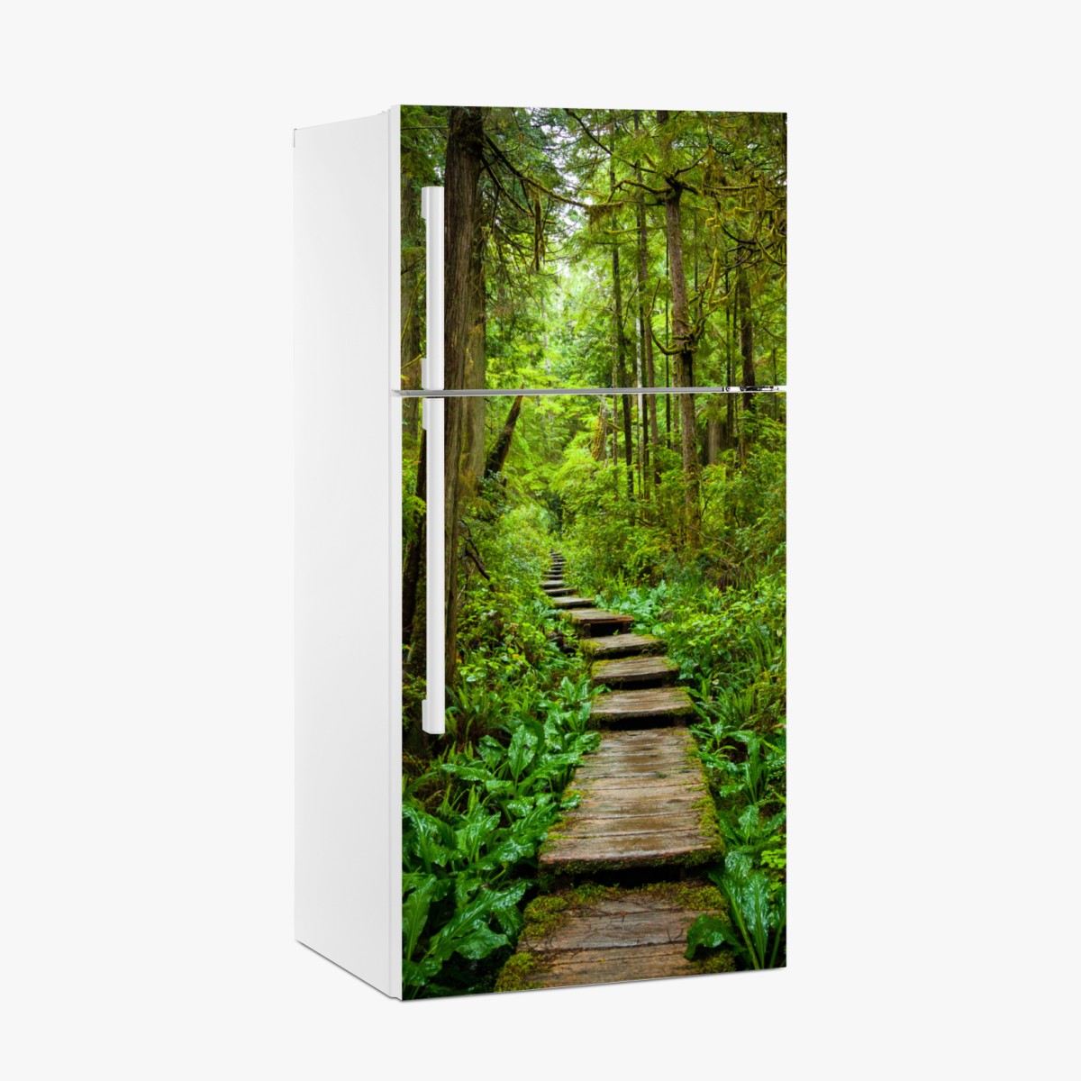 Kühlschrankaufkleber ruhiger waldsteg – Wallnifity®