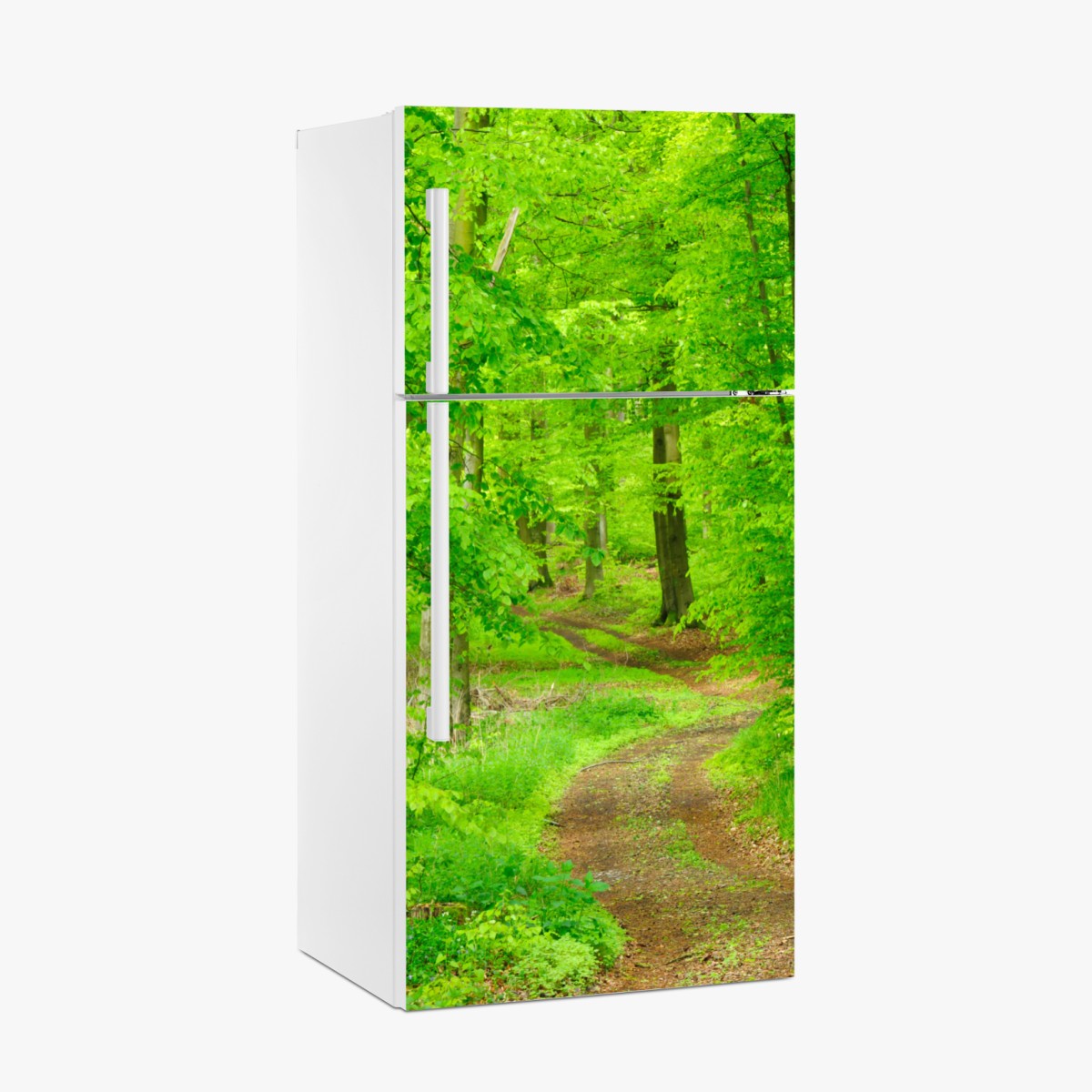 Kühlschrankaufkleber ruhiger waldweg im frühling – Wallnifity®